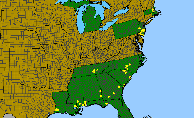 The range of Proserpinaca intermedia